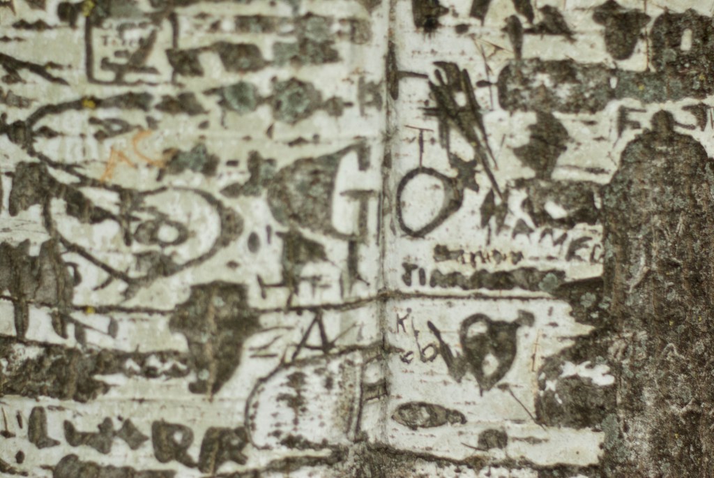 The current image has no alternative text. The file name is: imgp9389.jpg