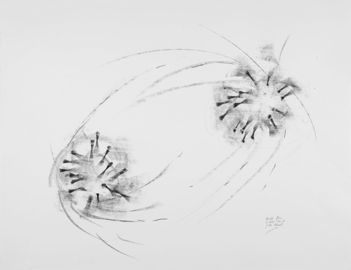 img-3-small700