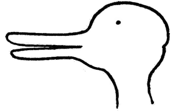 drawn-duck-wittgenstein-6.jpg