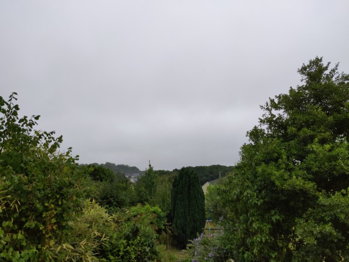 IMG_20180804_101204.jpg