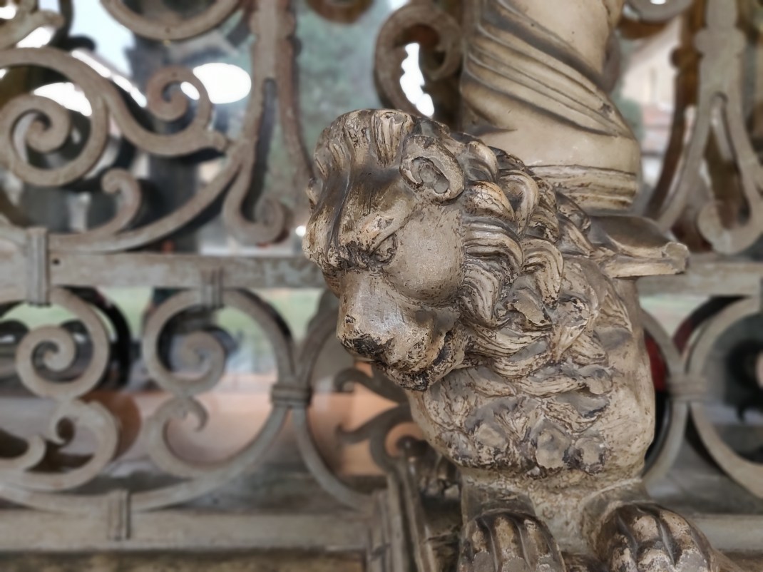 IMG_20181029_121358_Bokeh