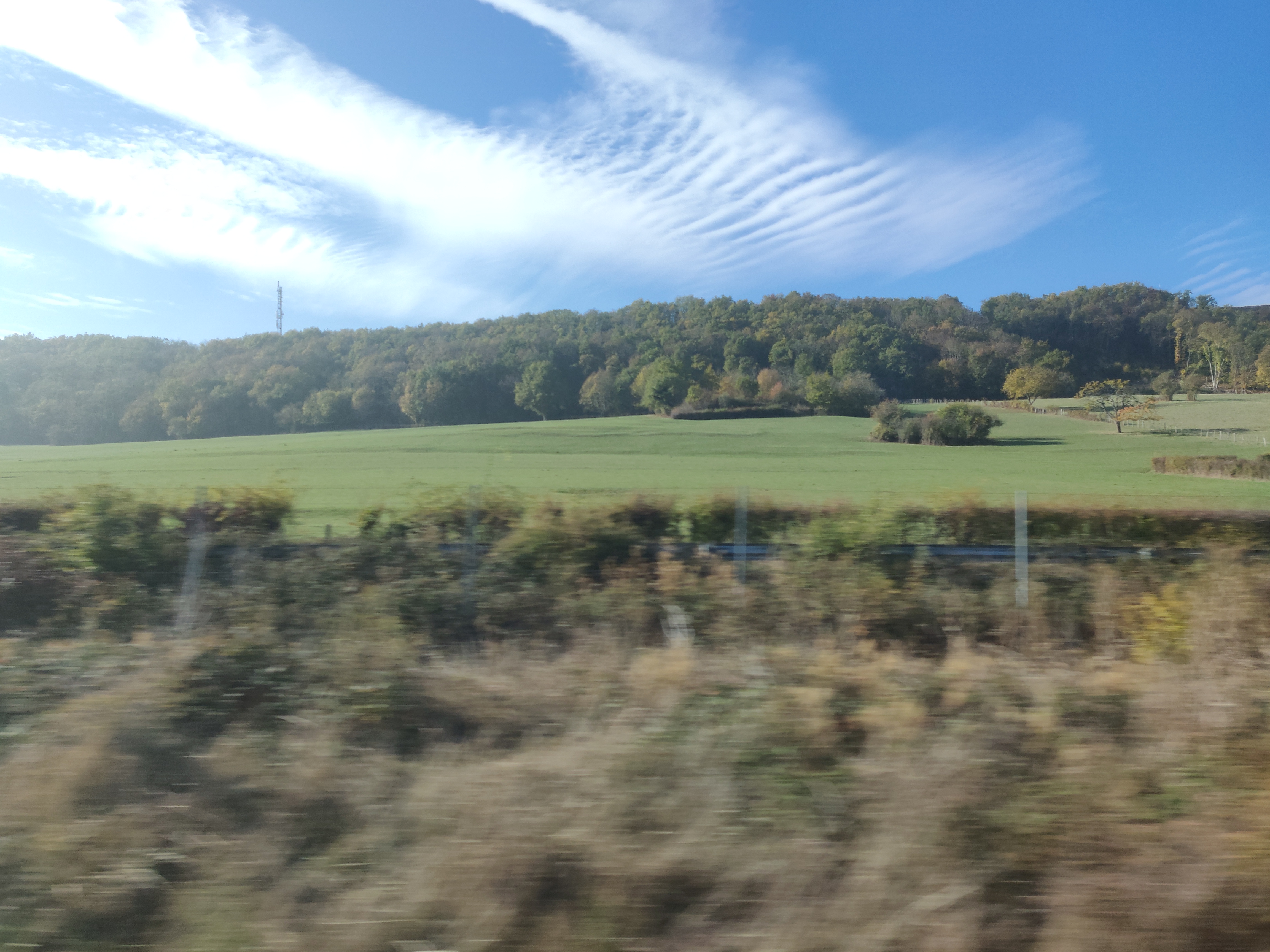 IMG_20181105_120453.jpg