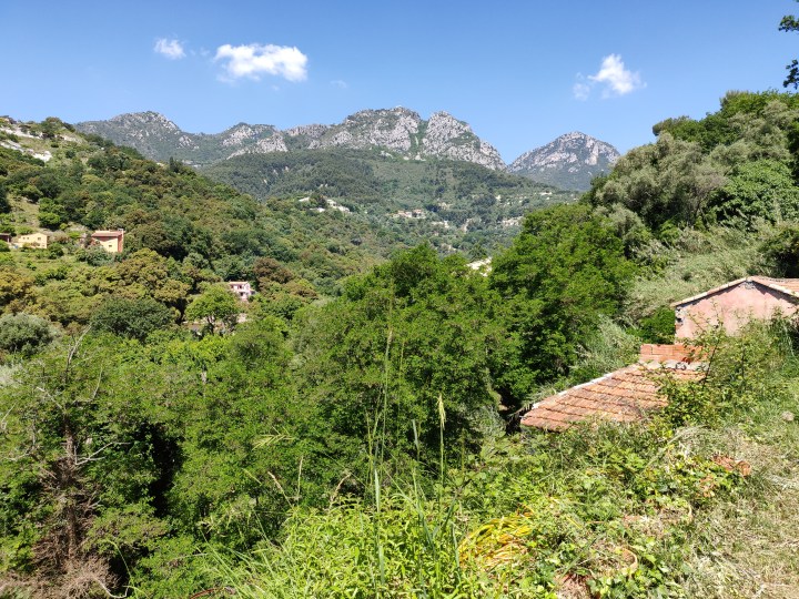 IMG_20190601_113849.jpg