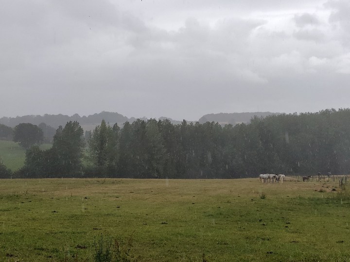 IMG_20190730_124753.jpg