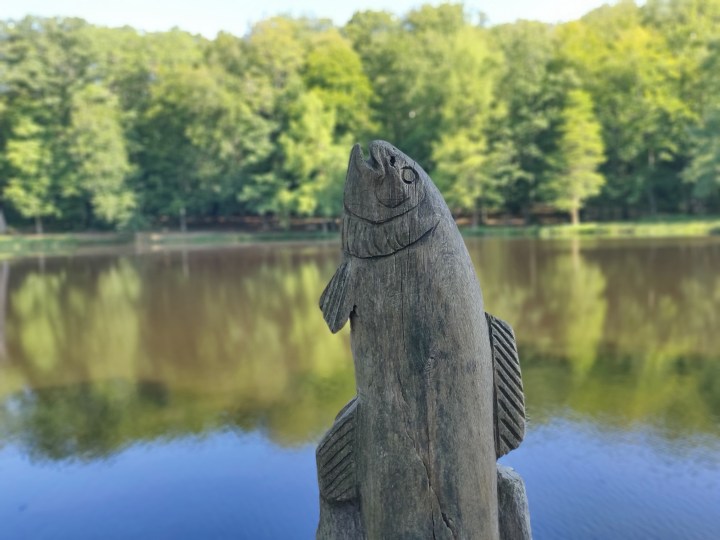 IMG_20190802_105106_Bokeh.jpg