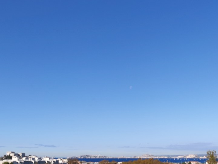 IMG_20191117_105056.jpg