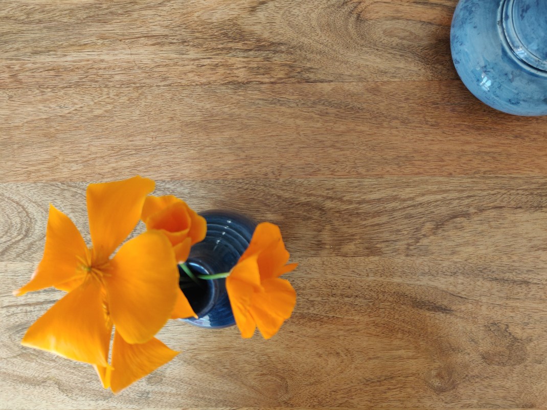 IMG_20200406_162429__01