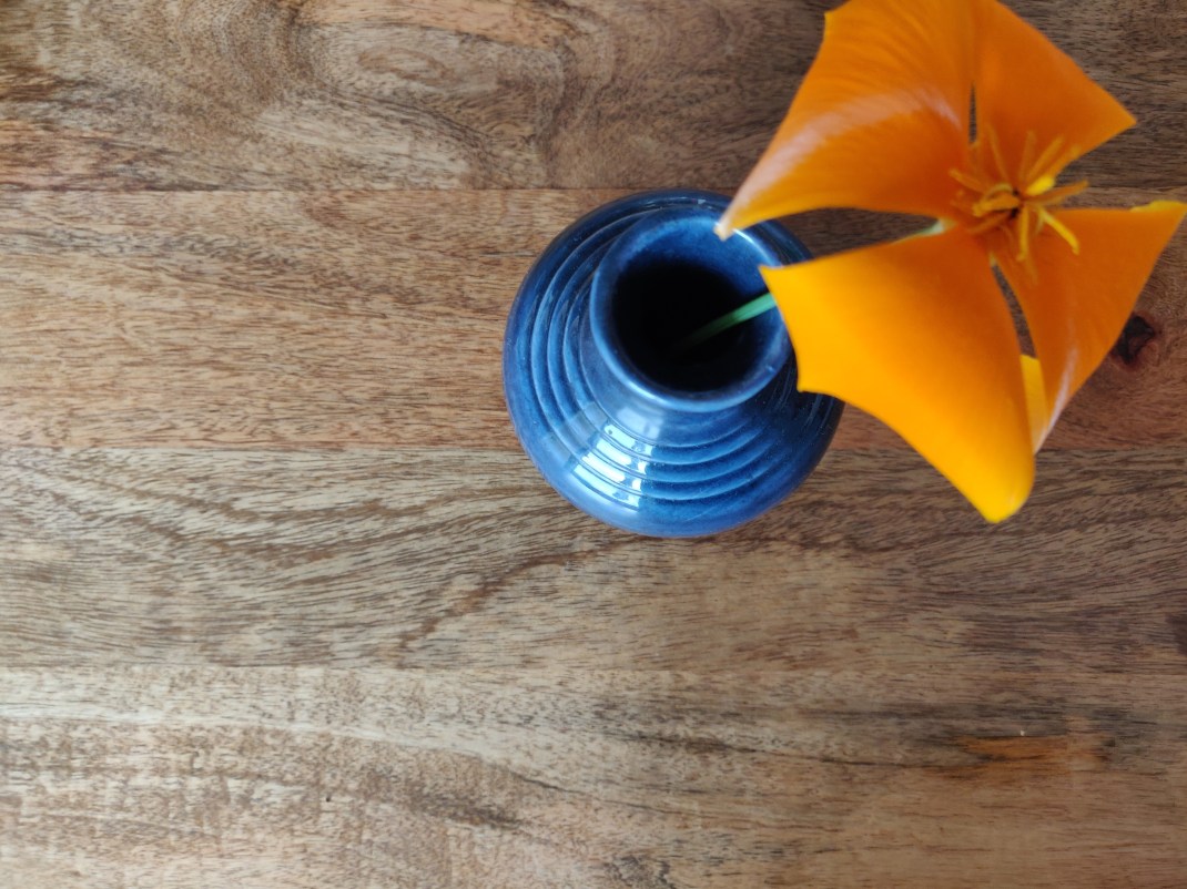 IMG_20200413_131929__01